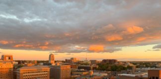 recall jeff hayner ann arbor