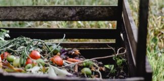 curbside pickup ann arbor