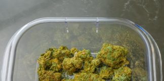 marijuana tax revenue