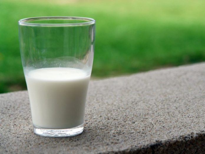 cannamilk