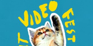 catvideofest