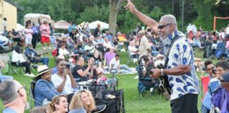 frog island jazz series