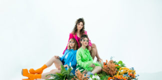 The folk band trousdale