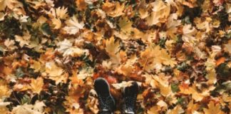 A woman sitting against a tree in the leaves.