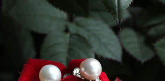 Jewelry laying on a rose.