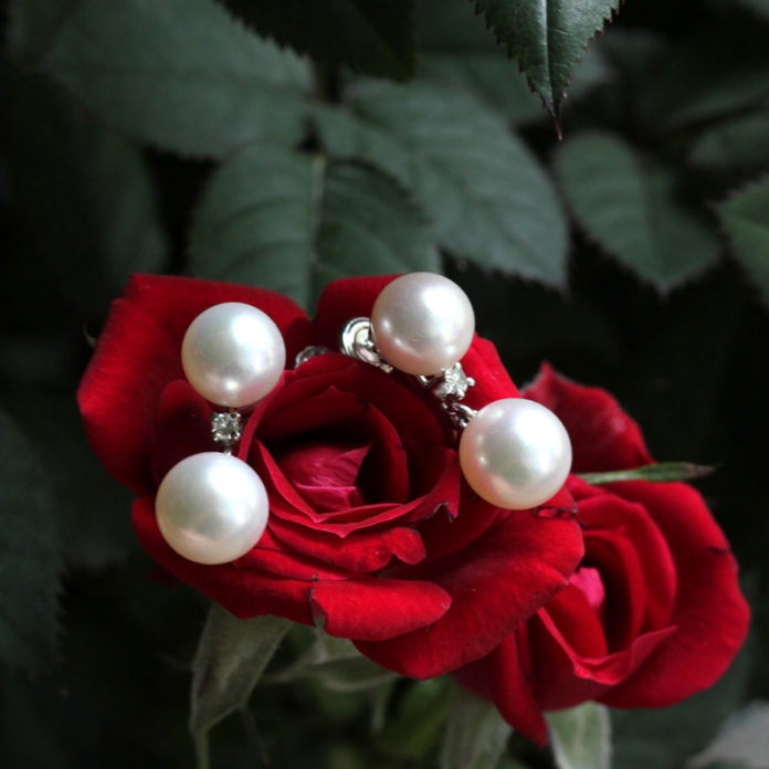 abracadabra2 Jewelry laying on a rose.