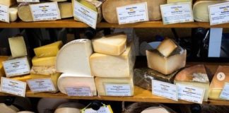 An assortment of cheese on a shelf.