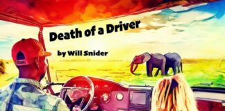 Death of a Driver Poster