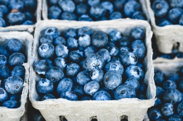 Fresh Blueberries
