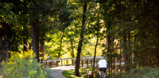 Bicyclist on paved trail in woods