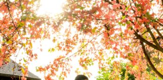 bride and groom under fall tree