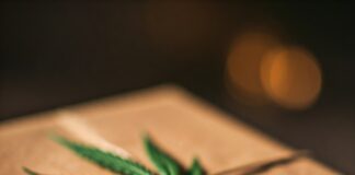 Present with Marijuana leaf