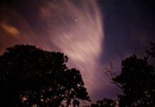 November 2026โs FreeWill Astrology Purple night sky