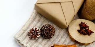 present with pinecones and spices around it