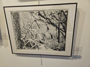 Fresh Snow by Dennis Gordon.