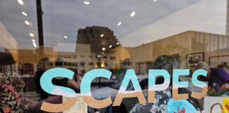 Scapes will be at the Gutman until June 28, 2025. Photo by Drew Saunders.