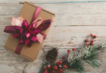 Ann Arbor Holiday Gift Guide 2025