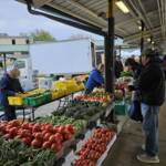 The Ann Arbor Local Food Festival will Celebrate Sustainably Grown Local Food