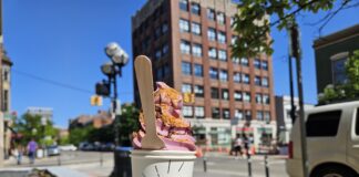 The cup option from Cold Truth Soft Serve. Photo by Drew Saunders.