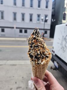 Chocolate vegan ice cream with a coconut topping. Photo by Drew Saunders.