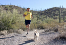 Author of “Finding Gobi” Dion Leonard Coming to AADL Downtown Branch