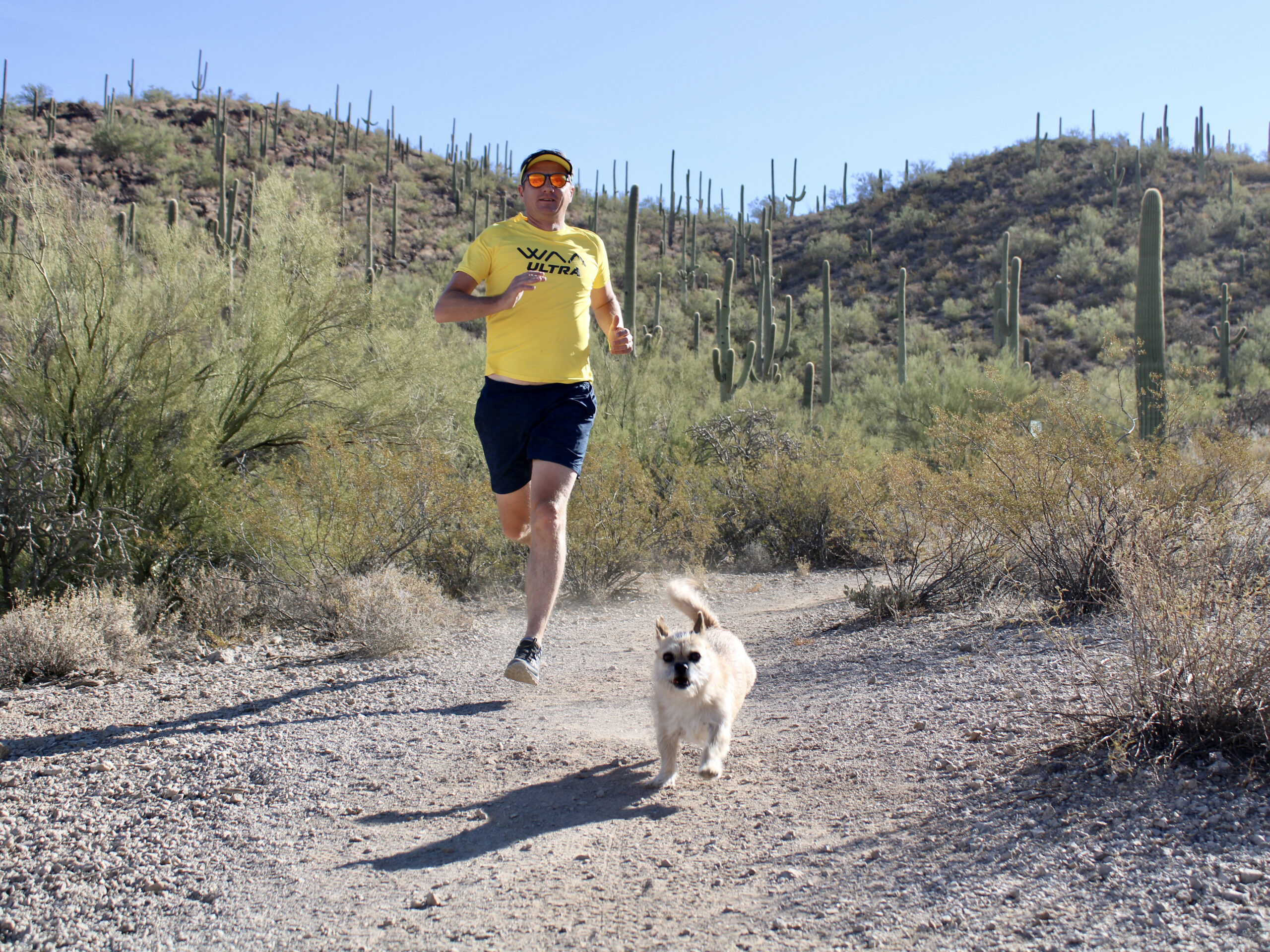 Author of “Finding Gobi” Dion Leonard Coming to AADL Downtown Branch