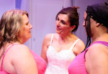 Friendship Takes Center Stage in Purple Rose’s World Premiere of Emma’s Wedding(s)