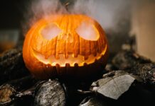 How to Include Cannabis in Ann Arbor Fall Traditions